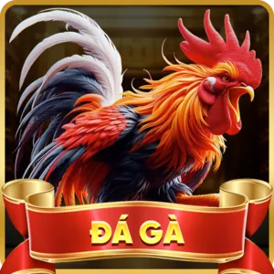 Tiện lợi cá cược đá gà mọi lúc mọi nơi với 999ok iOS